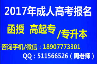 2017广西成考报名火热 北海考点告急，信息技术咨询服务成焦点